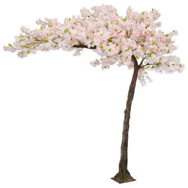 Pink Cherry Blossom Tree Arched Canopy
