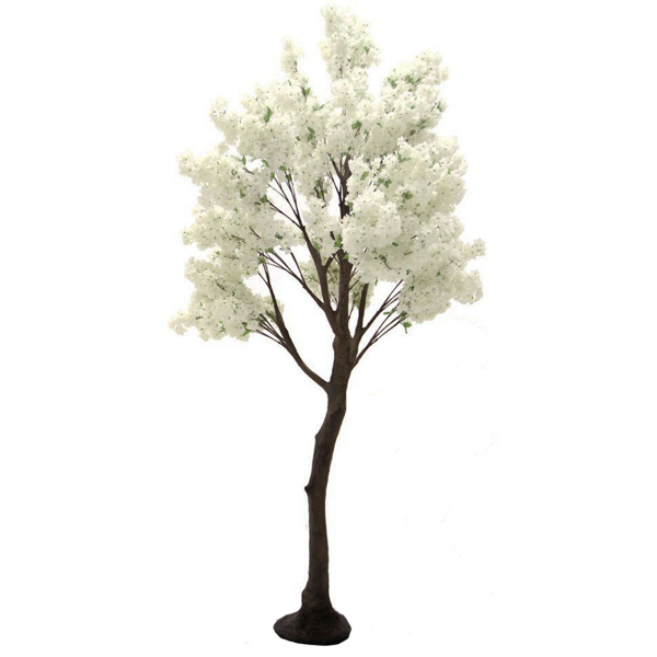 Cream Cherry Blossom Standard Tree