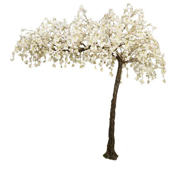 Cream Hanging Cherry Blossom Canopy Tree