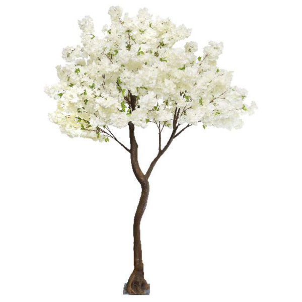 Cream Hanging Cherry Blossom Standard Tree
