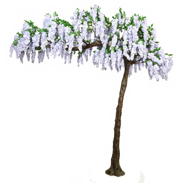 Lilac Wisteria Canopy Tree