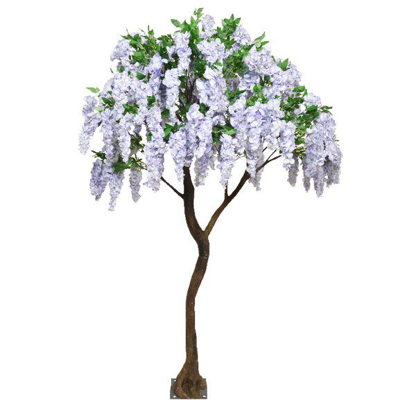 Lilac Wisteria Standard Tree