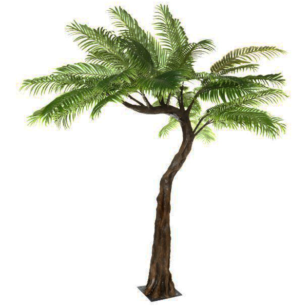 Palm Half Canopy Tree