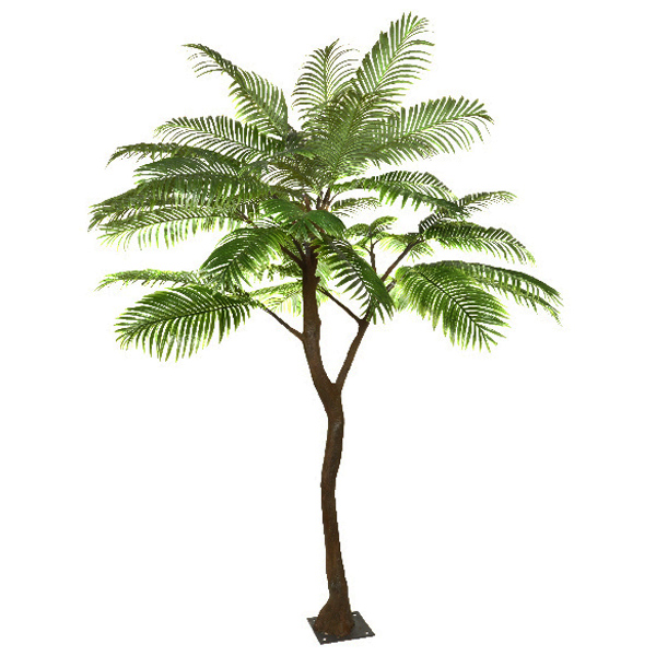 Palm Standard Tree