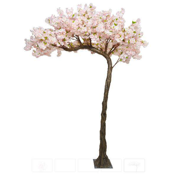 Pink Cherry Blossom Half Canopy Tree