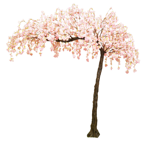 Pink Hanging Cherry Blossom Canopy Tree