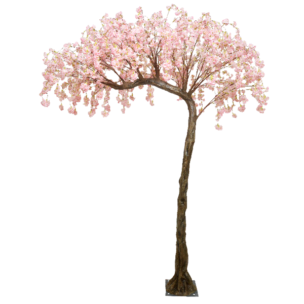 Pink Hanging Cherry Blossom Half Canopy Tree