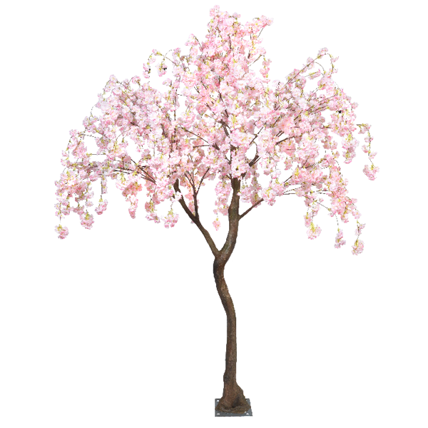 Pink Hanging Cherry Blossom Standard Tree