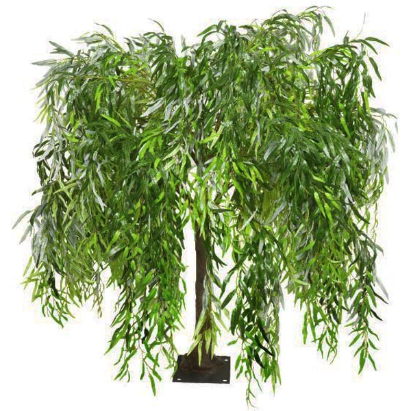 Weeping Willow Table Top Tree