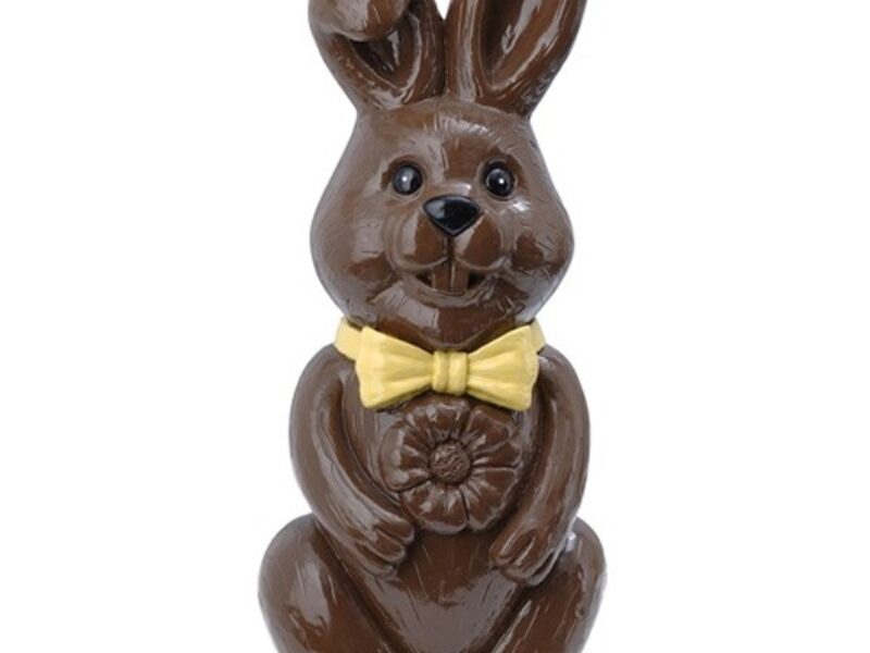 Chocolate Rabbit Model