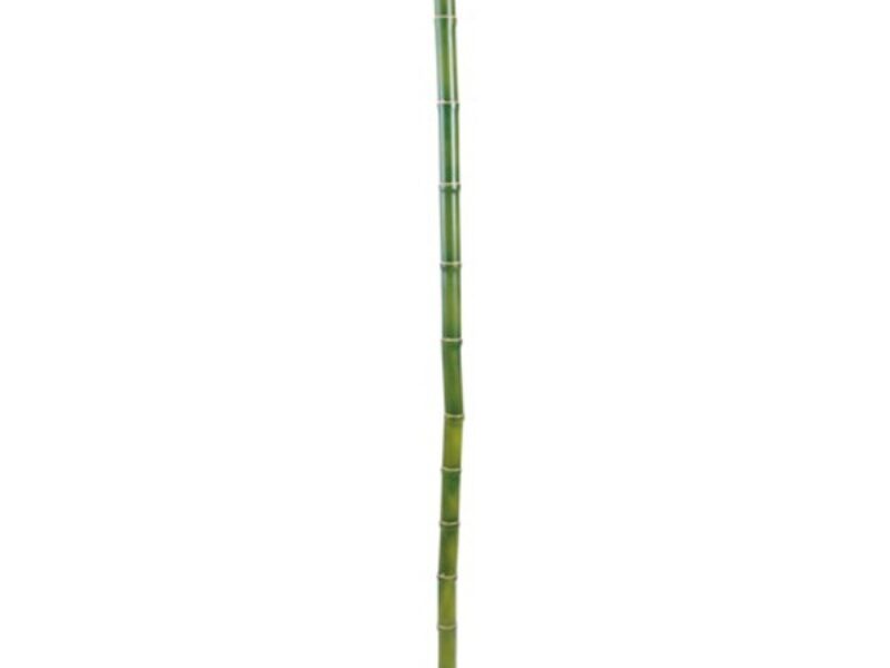 Faux Green Bamboo Poles