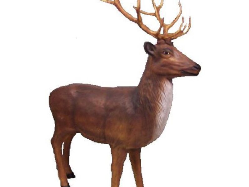 Reindeer Stag 3D Model