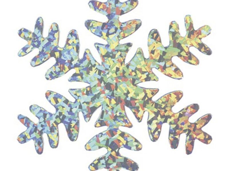 Holographic Snowflake 3D