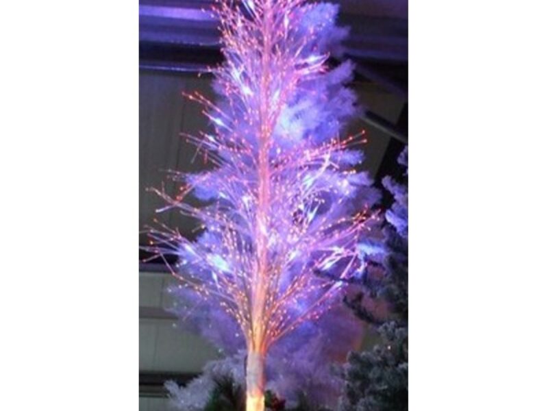 White Twig Tree c/w LED Colour Changing
