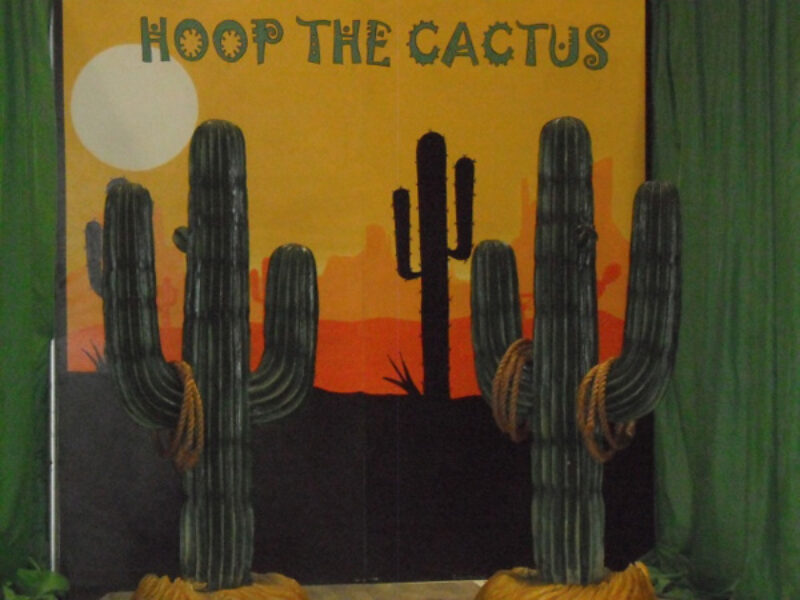 3D Hook The Cactus
