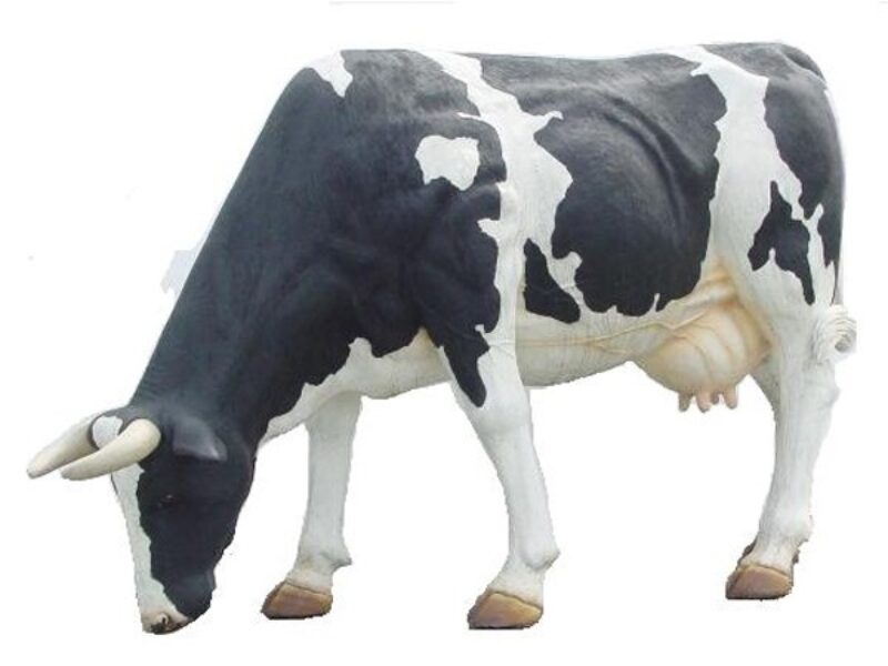 Cow Model 3D Standing Feeding