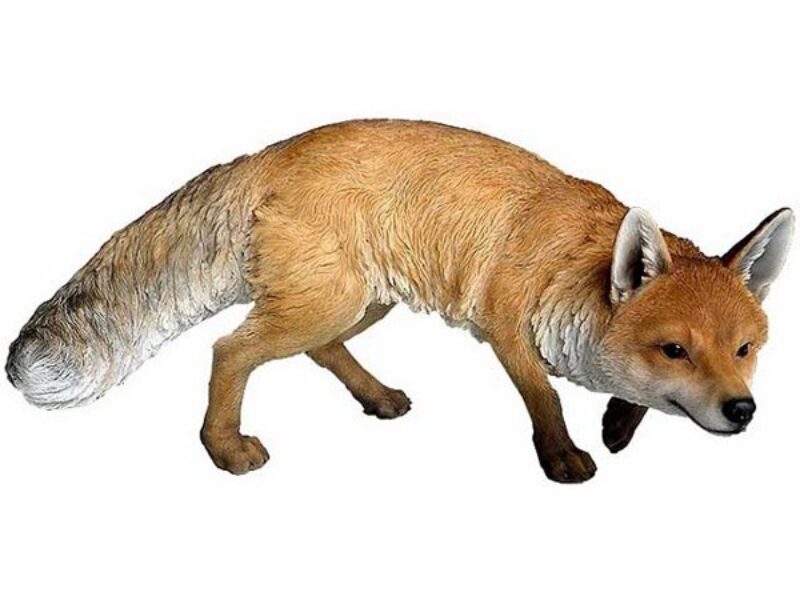 Prowling Fox 3D Model