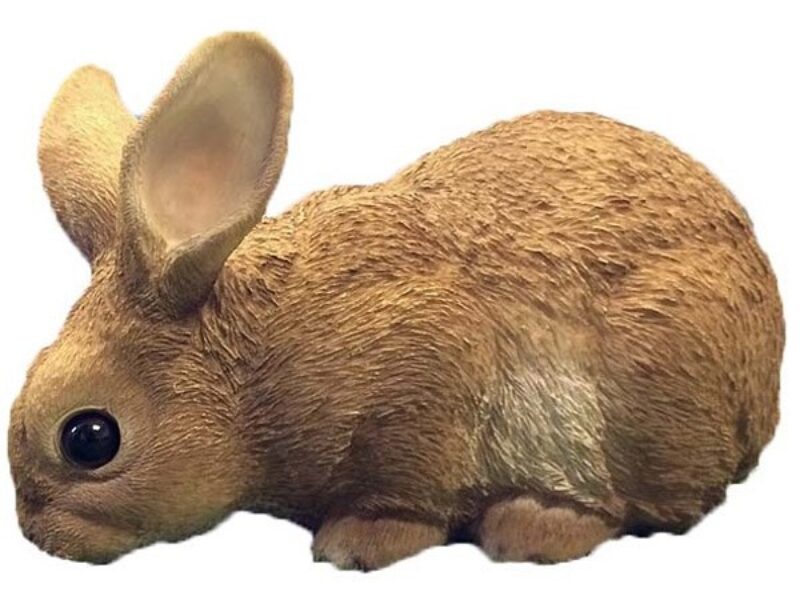 Rabbit 3D model