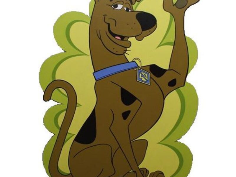Scooby Doo Flat c/w brace
