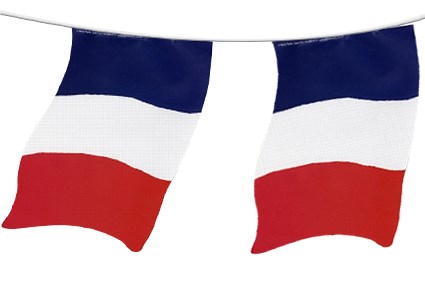  Bunting French Flag Cotton