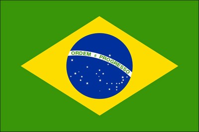 Flag  Brazillian c/w Pole
